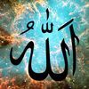 halima365